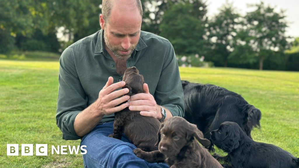 498425b0 4e76 11f0 9440 2dc7019981ae Prince William celebrates 43rd birthday with puppy photo