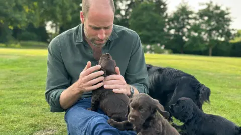 Prince William celebrates 43rd birthday with puppy photo Kensington Palace Prince William plays with puppies while sitting on the grass in a garden.