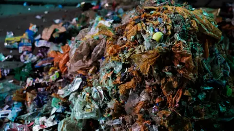 Should we be letting flies eat our food waste? Energesman A pile of food waste