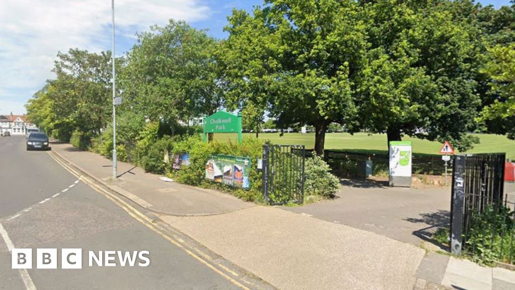 5283d320 543b 11f0 a2ff 17a82c2e8bc4 Children among casualties after tree falls in park