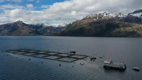 Chile's salmon farms hope for calmer waters A fish farm off the coast of southern Chile, with snow-capped mountains in the background