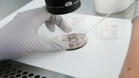 'I paid £15,000 then it went bust' Getty Images A gloved hand holds a petri dish under a microscope