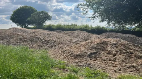 Warning over 'dirty secret' of toxic chemicals on farmers fields BBC/Jonah Fisher A large brown pile of sewage sludge in a field surrounded by grass and trees.