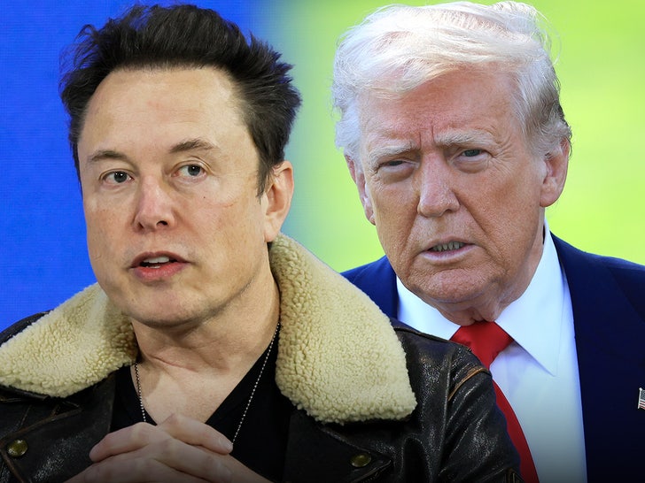 elon musk donald trump main getty