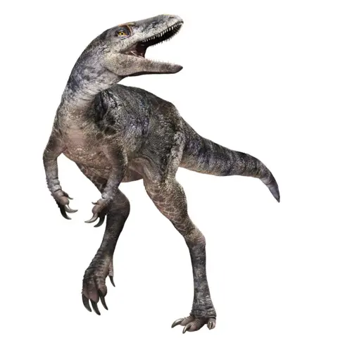 New species of dinosaur discovered that 'rewrites' T.rex family tree Masato Hattori The image shows a detailed artist's impression of a carnivorous dinosaur that has been named Khankhuuluu mongoliensis. It is upright on hindlegs with much shorter, smaller forelimbs and long claws. It has a large, quite elongated head and sharp teeth that it is displaying.