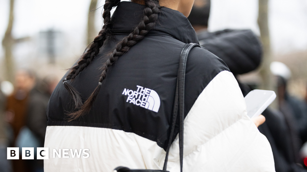 8a8f52f0 4052 11f0 b6e6 4ddb91039da1 North Face and Cartier hit by cyber attacks