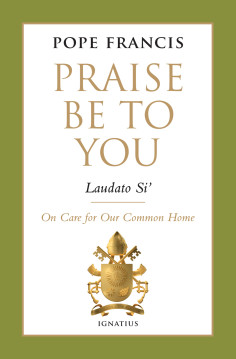 10 years later, Pope Francis' Laudato si' is more relevant than ever LAUDATOSIHighResCover 10 years later, Pope Francis' Laudato si' is more relevant than ever