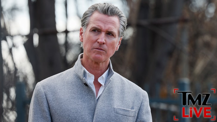 Gavin Newson Calls Fox News 'Propaganda Network' Amid Defamation Lawsuit newsom_fox_news_kal