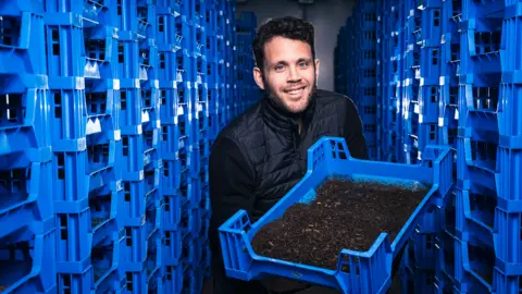 Should we be letting flies eat our food waste? Flybox Larry Kotch holds a blue container full of fly larvae