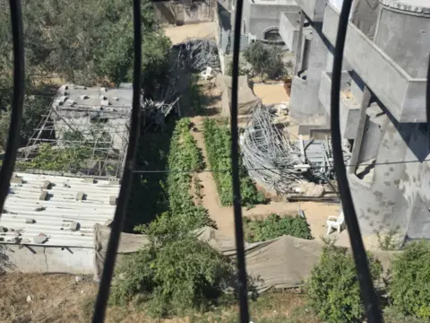 I feel like the life I had before the war was all made up The view from Hanya's balcony, with her neighbour's garden greenery visible