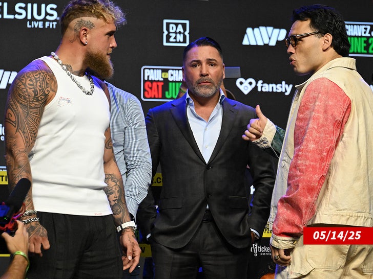 jake paul julio Cesar Chavez Jr getty