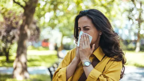 Why is my hay fever so bad this year? Getty Images A woman with long brown hair, wearing a yellow shirt, holds a tissue to her nose as she sneezes, with trees in the background