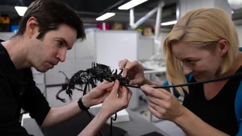 Natural History Museum to display rare dog-sized dinosaur Gwyndaf Hughes/BBC News A man (left) and a woman (right) lean over a white table in a labratory, with the dinosaur bones being mounted onto a thin metal frame. Small pieces of black bone protrude from the frame.