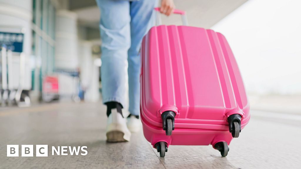 e8cfff80 42d8 11f0 835b 310c7b938e84 How budget airline baggage confusion triggered EU legal row