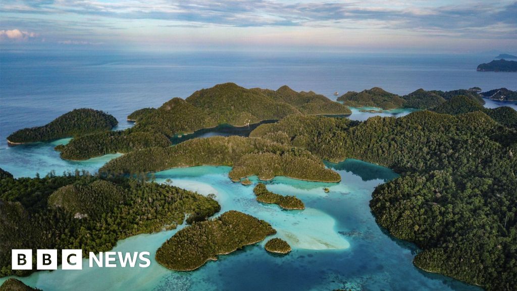 ea3c07a0 4833 11f0 8527 8b9715d4c34b How a race for electric vehicles threatens a marine paradise