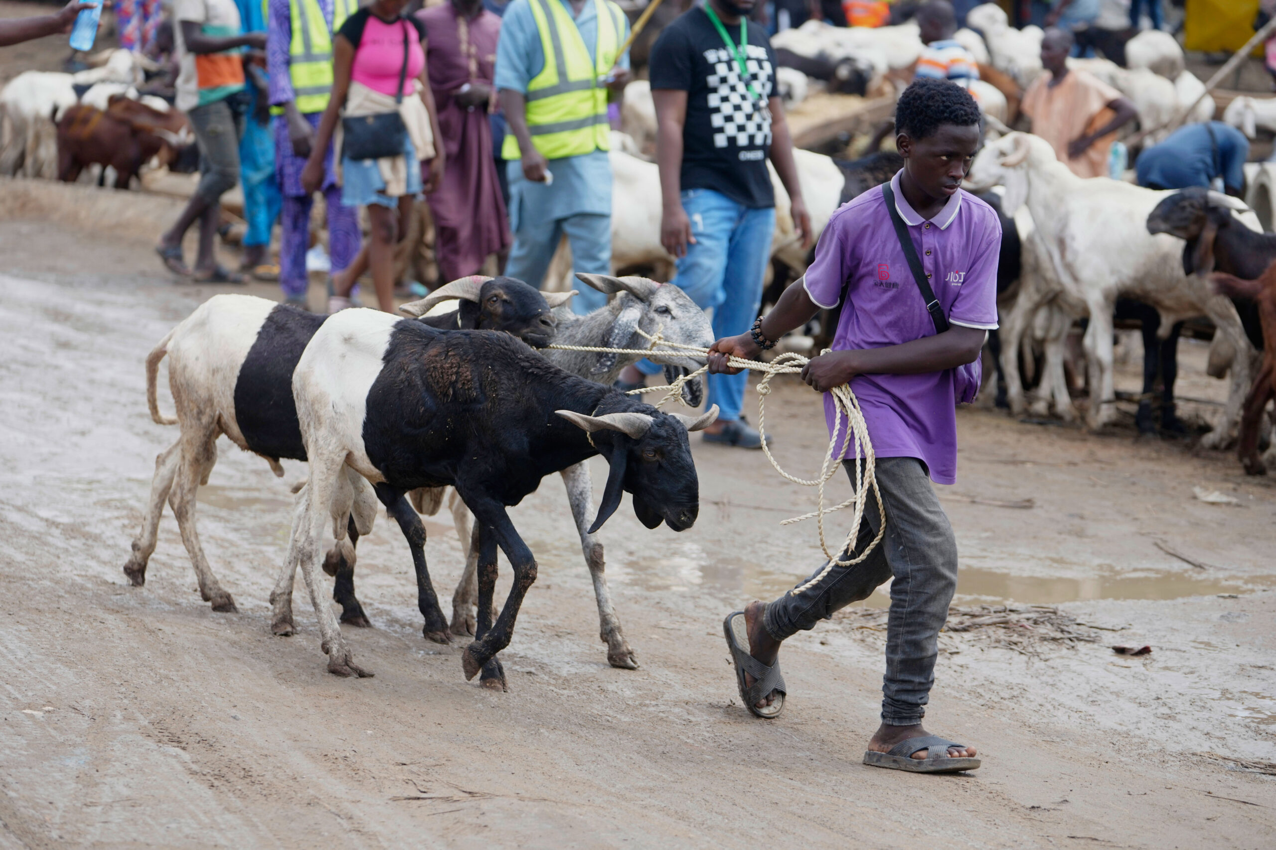 main 13 scaled Muslims look forward to the annual Eid feast. Many Africans are now struggling to afford it