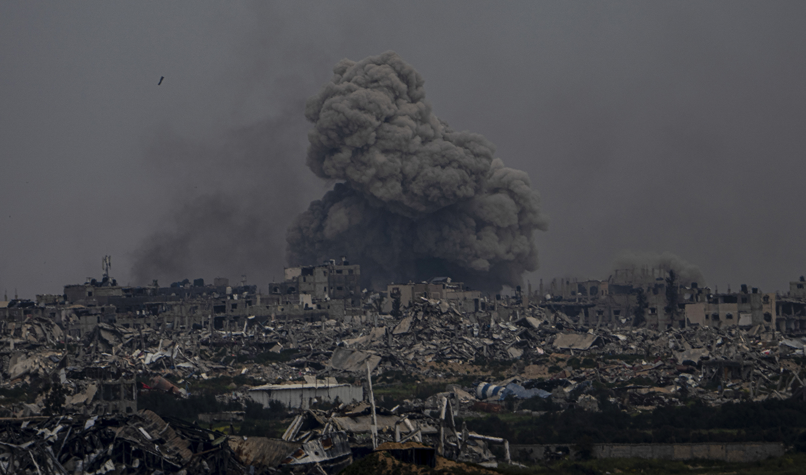 webRNS Israel Gaza1 032924 NC Democratic Party adopts resolution calling for Israel arms embargo