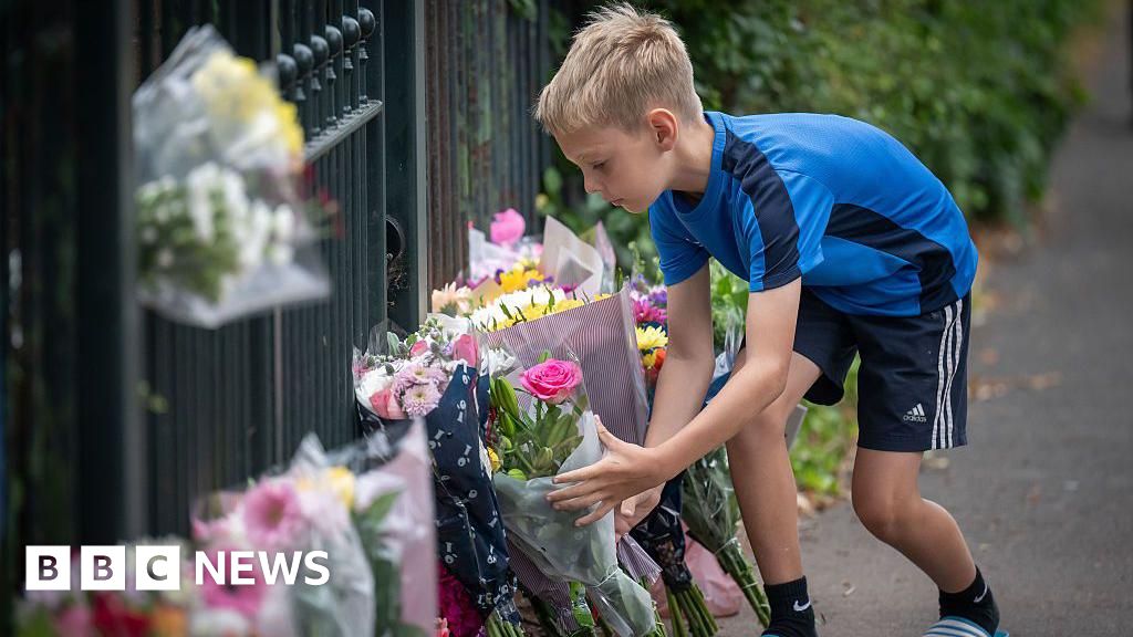 012c6640 63db 11f0 82cf cfdaec0ea16c Boy, 10, dead as nine in hospital after Somerset coach crash