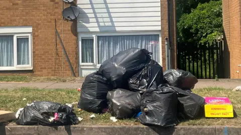 No end in sight for Birmingham bin strike after six months Image shows a large pile of full black bin liners piled up outside a house
