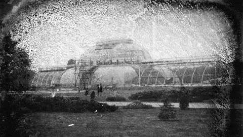 Palm House set for major renovation RBG Kew A black and white image of the Palm House, a glass and iron building in Kew Gardens, being constructed which was taken in the 1840s. Scaffolding is running up the building. Men in top hats look on.