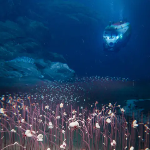 'Communities' of strange, extreme life seen for first time in deep ocean IDSSE/CAS An artist's impression of a submersible vehicle exploring a deep ocean trench filled with reddish tube-worms that are emerging from the ocean floor.