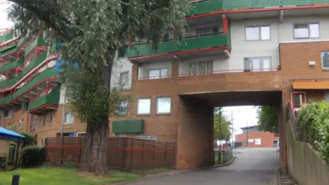 Byker Estate campaigners to get refund after energy bill row Stephen McKay/Geograph A section of the Byker Wall where it crosses Raby Way. The building is made of red bricks with white render and has green balconies. A tree stands in front of part of the building.