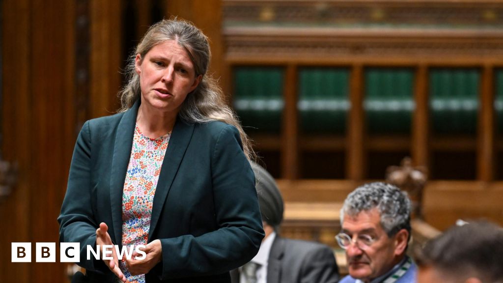 11208ca0 62d4 11f0 b903 f515e3045d80 Labour suspension doesn't mean I'm silenced, MP says