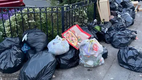 No end in sight for Birmingham bin strike after six months Image shows about 20 black bin bags on a grey pavement piled up against a black metal fence. Behind it are green plants with purple and white flowers.