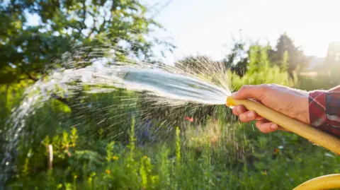 South East Water hosepipe and sprinkler ban comes into force Getty Images A hand holding a hosepipe with water squirting from its end. There are green plants in the background.
