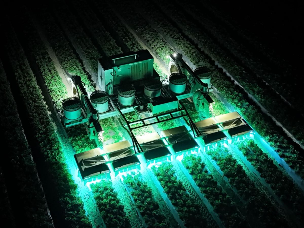 1749802110746 How TRIC Robotics is reducing pesticide use on strawberries using UV light