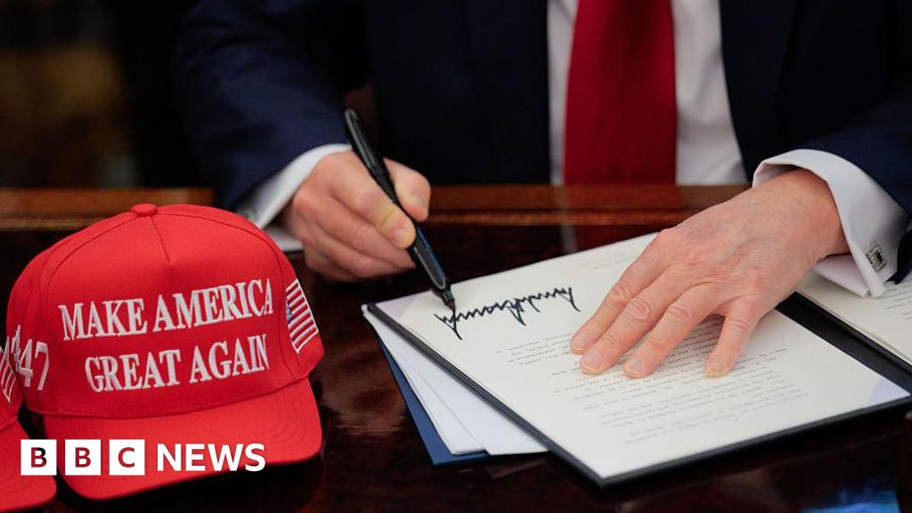 1c01acb0 62e5 11f0 964a ff2f7d0da737 What are tariffs, how do they work and why is Trump using them?