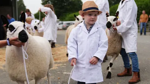 PA Media A young boy wears a white long coat and a straw hat. Next to him is a white sheep with black ears and nose, wearing a harness arounds its head. The boy is holding a piece of rope attached to the harness. There are older children behind him also wearing white coats and showing their sheep at the Royal Welsh Show. 
