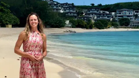The Caribbean islands that give you a passport if you buy a home Nadia Dyson Nadia Dyson, owner of estate agency Luxury Locations, smiles at the camera as she stands on a beach in Antigua