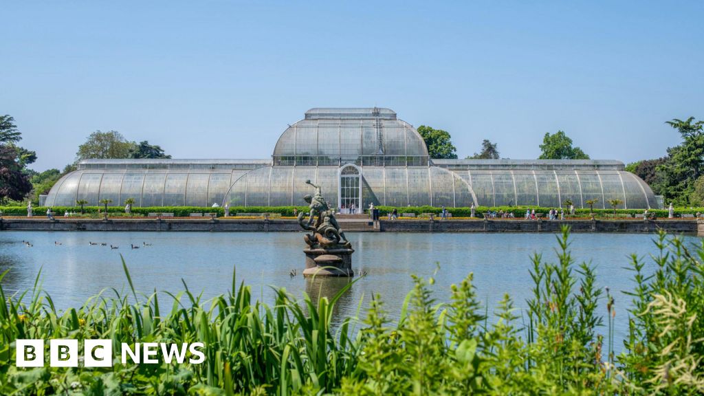 3ad28420 5da4 11f0 bb8e 312cb511e91c Palm House set for major renovation
