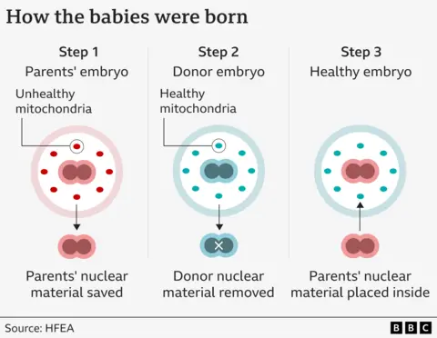 Babies from three people's DNA prevents heriditary disease Graphic showing a red circular representation of an embryo with unhealthy, oval, mitochondria inside that has the nuclear material - a joined pair of circles - removed. The next step is blue representing a healthy donor with healthy mitochondria and their nuclear material is also removed. Step three shows the nuclear material removed in step 1 being placed inside the healthy embryo