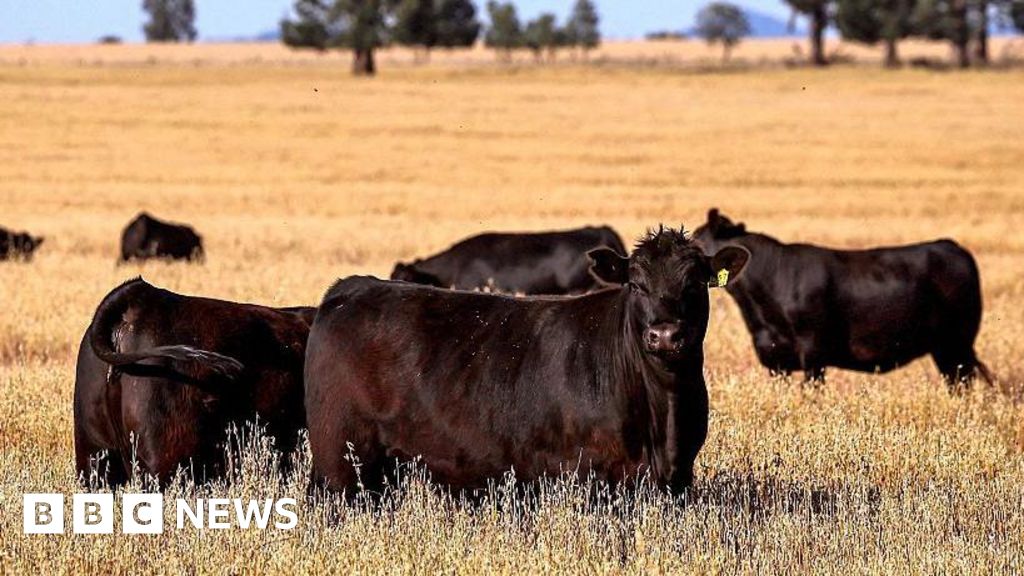 769e7bc0 6822 11f0 860a c3c5d75331ea Australia to lift import ban on US beef after Trump tariffs tiff