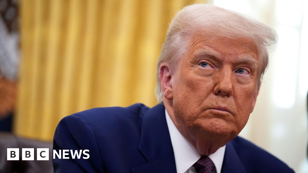 787debe0 52b2 11f0 90c3 576318da68e3 What have tariffs really done to the US economy?