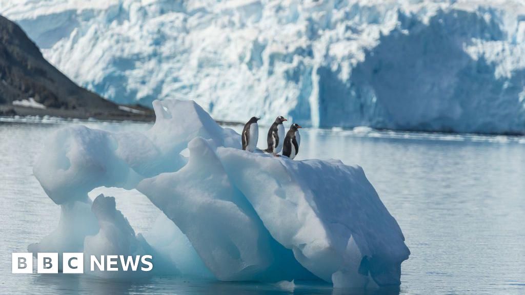 845e4180 586b 11f0 a7c9 cd51f032c1d4 American teen pilot detained on small island in Antarctica