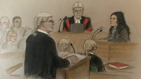 I've never seen a case like Constance Marten and Mark Gordon's Julia Quenzler A court sketch showing a barrister addressing the court and Constance Marten in the witness box next to the judge