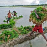 M&S backs farmers over UK Labour ministers in inheritance tax row