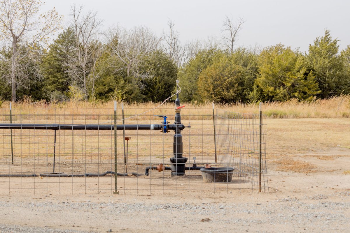 Vaulted 10 30 166 scaled 1 Microsoft is buying tons of carbon removal from Xprize startup Vaulted Deep