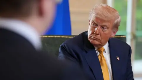 Who are the winners and losers in US-EU trade deal? Getty Images Donald Trump, dressed in a suit, in a meeting with Ursula Von der Leyen of the EU at Turnberry Golf Club in Scotland
