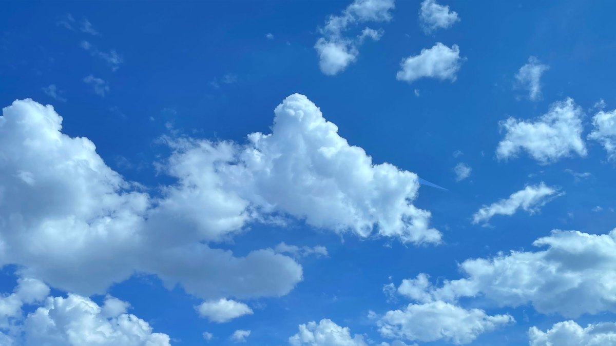 bluesky 004 Ask not for whom the Louvre of Bluesky tolls, it tolls for thee