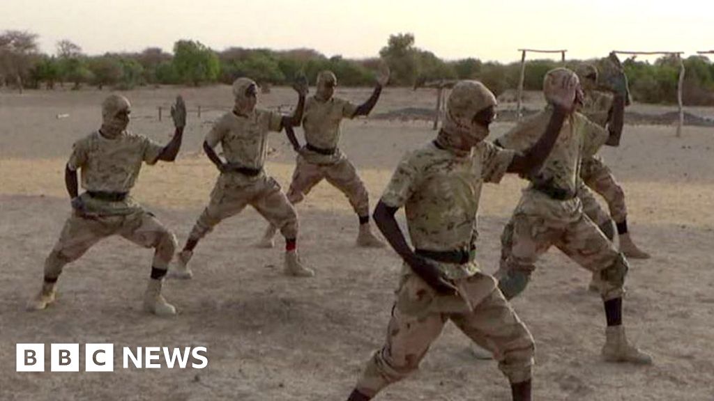 c6c01010 5345 11f0 a2ff 17a82c2e8bc4 How an al-Qaeda offshoot became one of Africa's deadliest militant groups