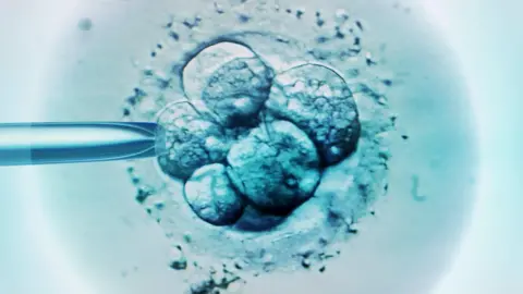 Babies from three people's DNA prevents heriditary disease Getty Images A ball of tiny spherical cells, six of which are visible, which make up an early stage embryo