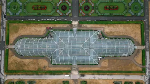 Palm House set for major renovation Kevin Church/BBC News An aerial view exterior of the Palm House, a huge iron and glass building, taken directly overhead. The grass surrounding it is scorched and yellow and brightly planted flower beds can be seen.