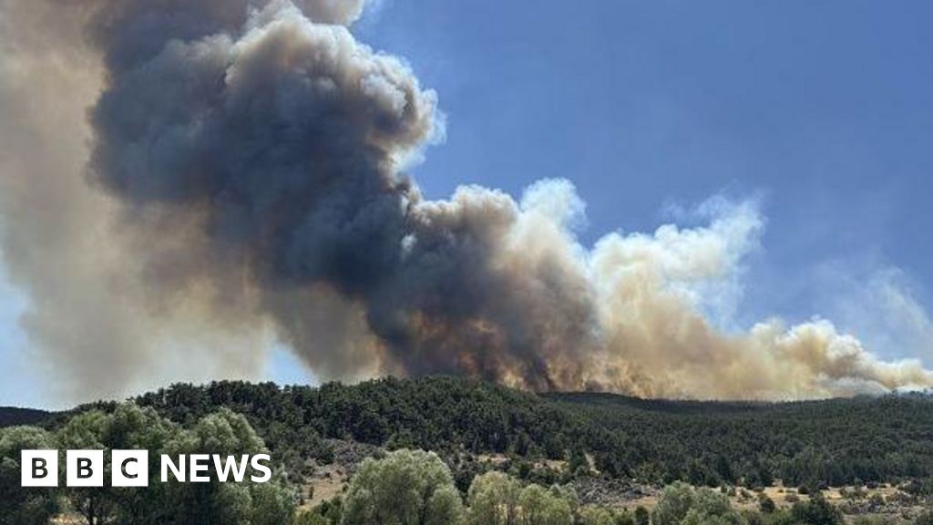 edac1200 67f9 11f0 8c3a 352af5639695 Ten workers killed battling wildfires in Turkey