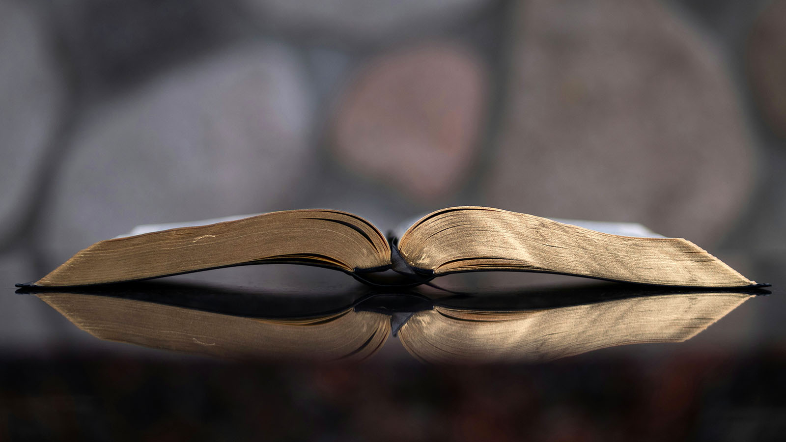 webRNS Bible Reflection1 If evangelical Christian 'deconstruction' becomes a brand, it defeats its purpose