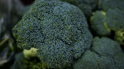 Herefordshire farmer sees broccoli harvest hit by heatwave and lack of water Getty Images A close up shot of a green broccoli head, sitting on top of a pile of the leafy brassica