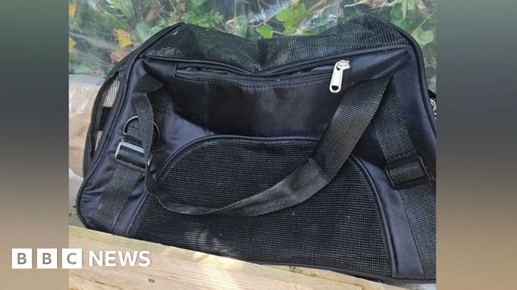 14ab00a0 7132 11f0 b597 6b342e66b2d5 Teenagers detained for mutilating kittens near Ruislip Golf Course